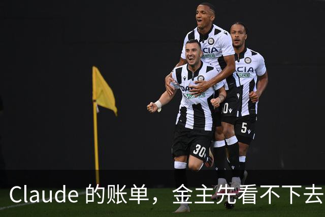 Claude 的账单，金主先看不下去了